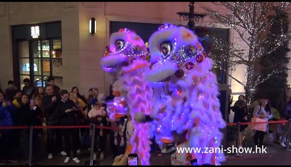 LED LION DANCE ON POLES - and