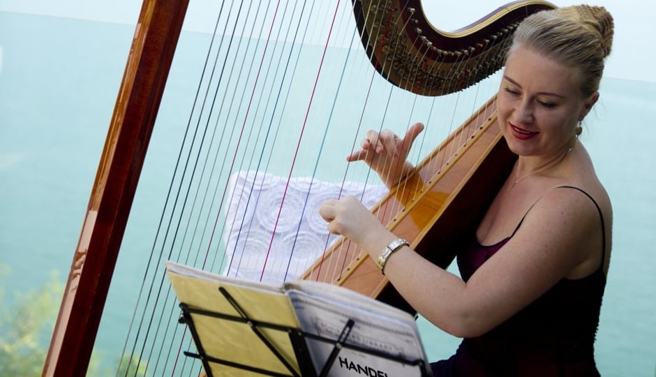 WESTERN HARP PLAYER FOR EVENTS